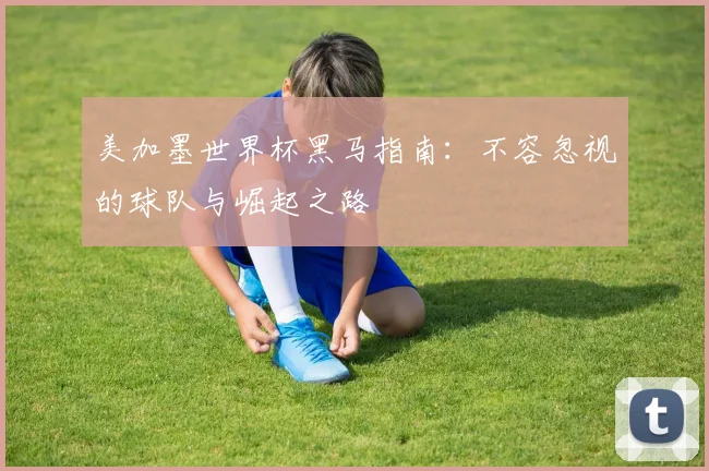 美加墨世界杯黑马指南:不容忽视的球队与崛起之路